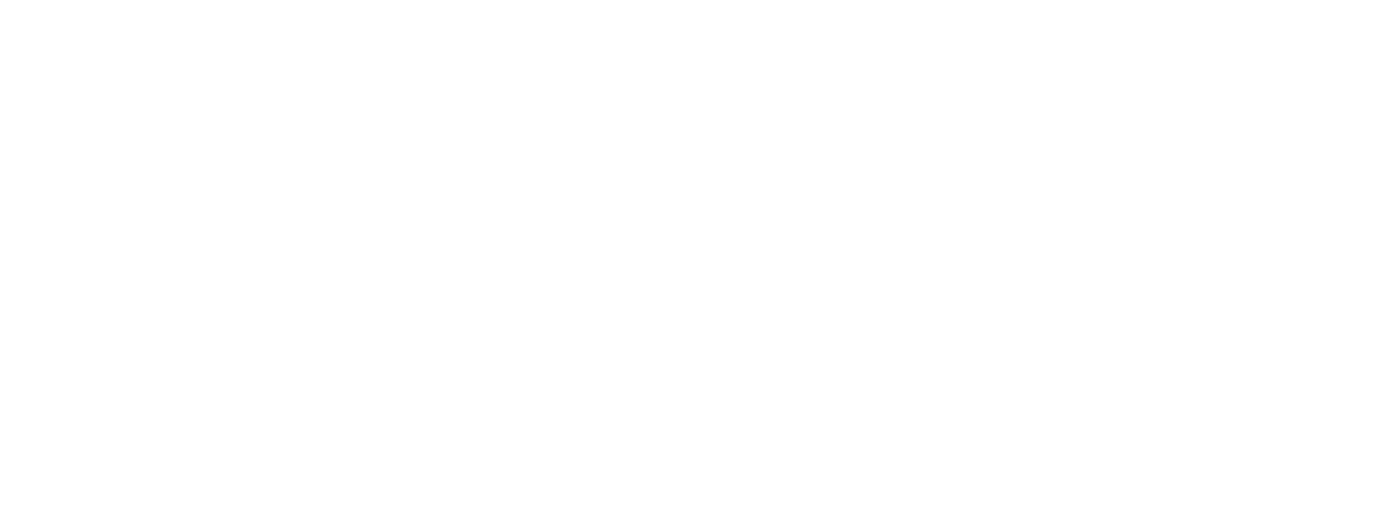 INVISTA